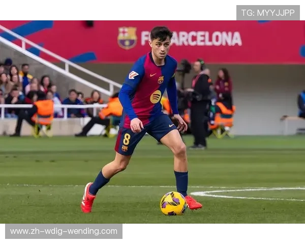 西甲9直播平台及体育赛事高清赛事回放