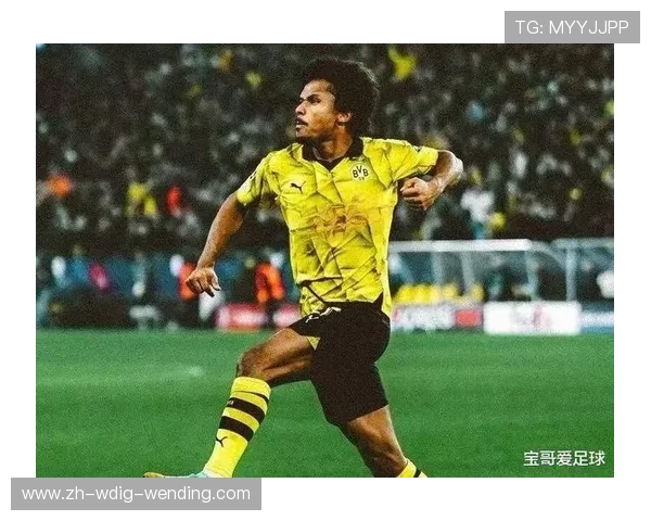 球队身价德甲排名：德甲各球队的市场身价排名分析