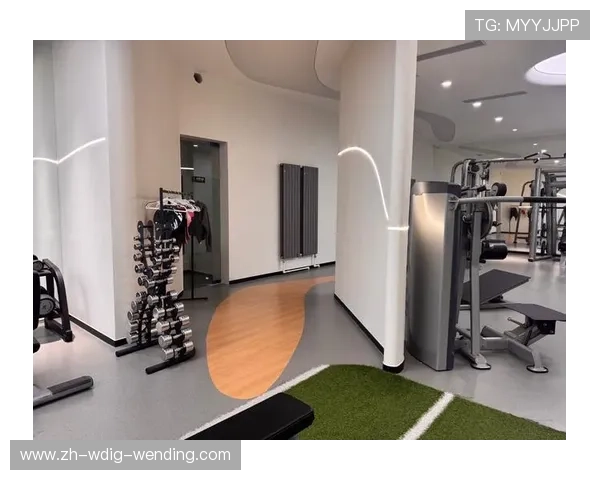 健身器材区功能布局及器材介绍,助你高效规划训练路线