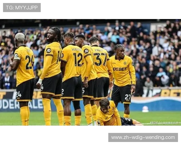 英超球队狼队是否拥有中国球员?阵容构成分析